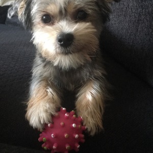 Fundraising Page: Claire Keithly